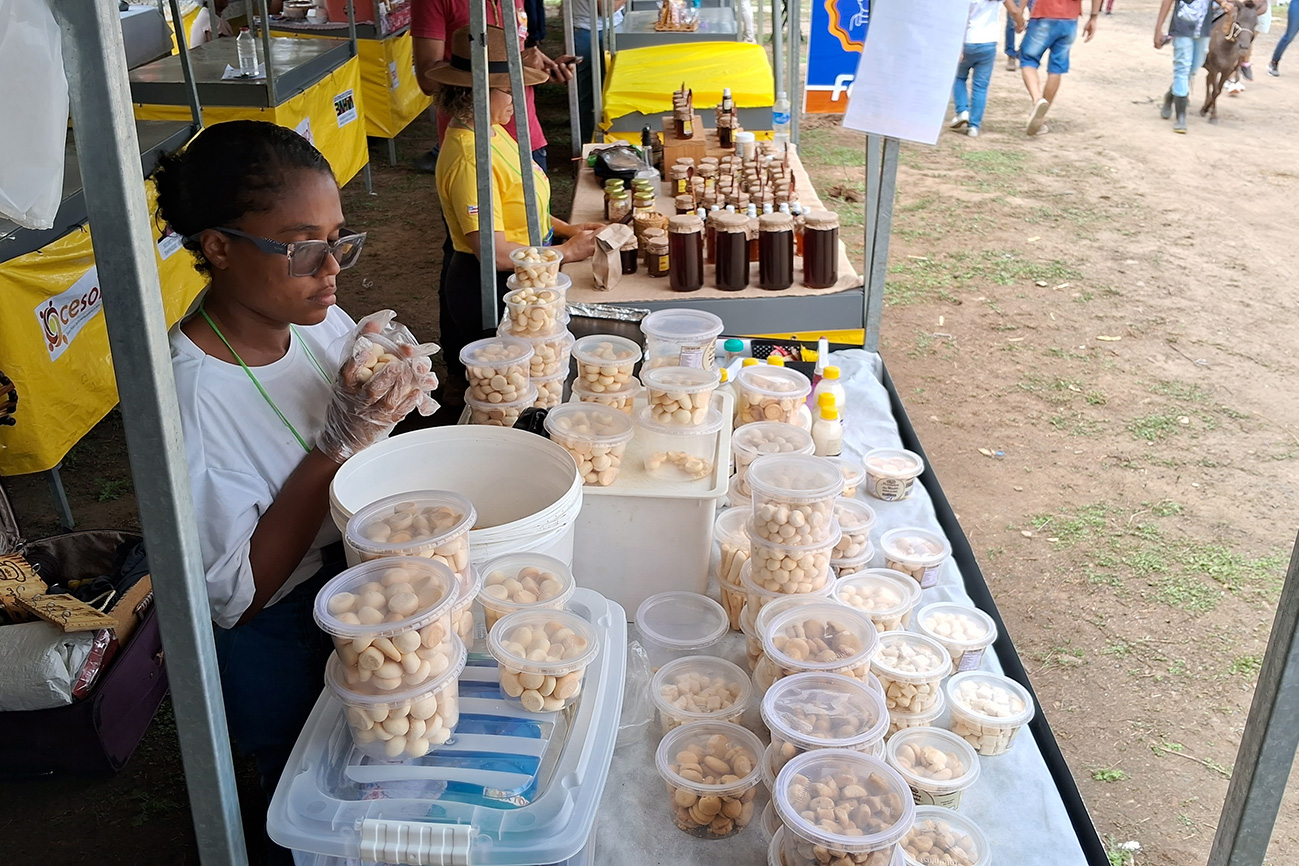 Foto: Reprodução/Prefeitura de Feira de Santana - BA